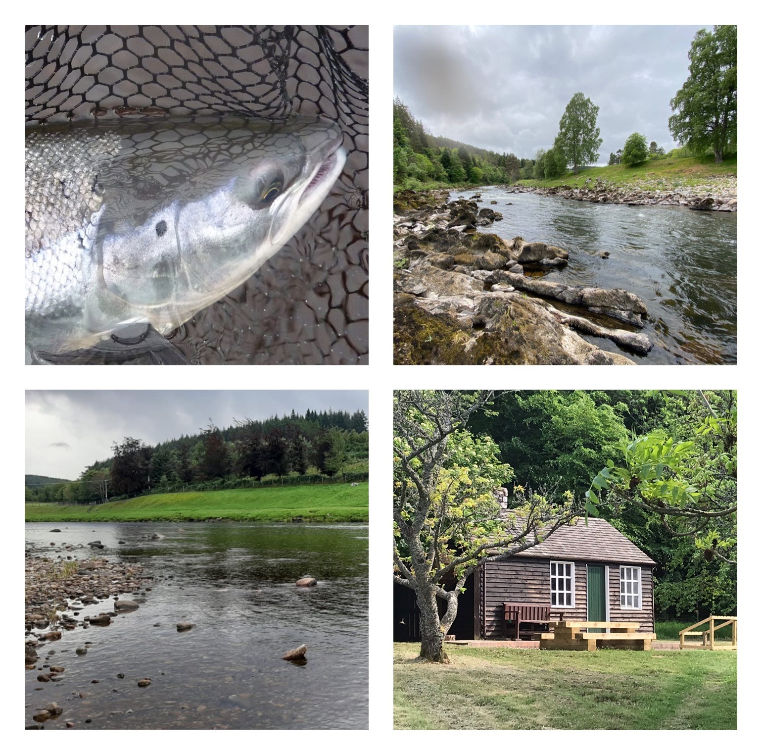 Summer/Autumn Fishing & Accommodation Package 2021